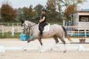 Yegua Lusitano En venta 2020 Tordo