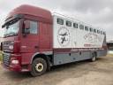 Camión para caballos Daf CAMION THEAULT 2008 De segunda mano