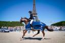 Caballo castrado Silla Francés En venta 2012 Alazán tostado