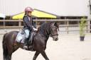 Yegua Dartmoor En venta 2017 Alazán tostado por Zizou des fleurs