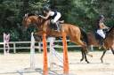 Caballo castrado Silla Francés En venta 2012 Bayo por DOUBLE D'elle