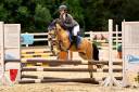 Vendo poni de salto