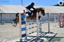 Caballo castrado Connemara En venta 2011 Bayo por TASTY PRIDE