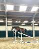 Caballo entero Silla Francés En venta 2023 Alazán tostado por Joker d’euskadi