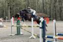 Caballo castrado sBs Caballo de Deporte Belga En venta 2014 Otra capa por ultra boy