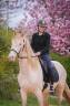Caballo castrado PRE Pura Raza Española En venta 2022 Crema