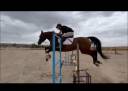 ANGOARABE SALTO/DOMA CON CARTA