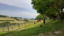 Granja ecuestre En venta Ródano