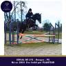 Caballo castrado Pura Sangre En venta 2021 Tordo por Planteur