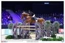 Caballo castrado Silla Francés En venta 2015 Alazán por MOZART DES HAYETTES