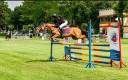 Venta de pony D de Salto