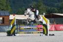 Pony D de salto en venta