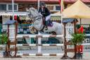 Pony D de salto en venta