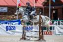 PONY D de competicion salto