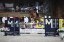Yegua Caballo de Silla En venta 2016 Alazán por Uppy d'or de Montigny  (ISO135)