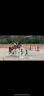 Caballo castrado Silla Francés En venta 2020 Bayo por L’arc