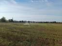 Explotación agrícola En venta Dordoña