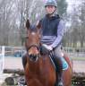 Caballo castrado Pura Sangre En venta 2016 Bayo