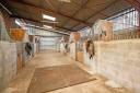 Propiedad rural En venta Tarn
