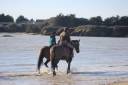 Acaballadero En venta Morbihan