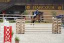 Caballo castrado Silla Francés En venta 2015 Bayo por CONTENDRO