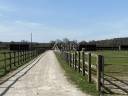 Propiedad ecuestre En venta Orne
