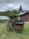 Coche enganches - Calesa - Otra marca -  