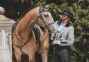 OPIUM DU DASTUGUE - Lusitano 2018 por Altivo SQT