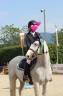 Caballo castrado PFS Poni Françés de Silla En venta 2016 Tordo por ICE AND FIRE D’ALBRAN
