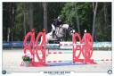 Yegua PFS Poni Françés de Silla En venta 2016 Tordo