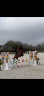 Caballo castrado Silla Francés En venta 2020 Bayo por L’arc