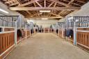 Propiedad ecuestre En venta Ain