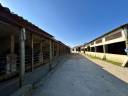 Centro ecuestre En venta Morbihan