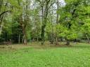 Bonita residencia ecuestre En venta Alta Saboya