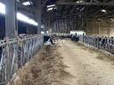 Explotaci&oacute;n ovina En venta Allier