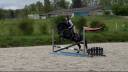 Caballo castrado Origen No Constatado En venta 2020 Negro