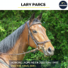Caballo castrado AQPS En venta 2021 Bayo por THE ANVIL