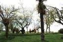 Propiedad ecuestre En venta Tarn y Garona