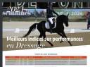 Semental PFS Poni Françés de Silla En venta 2020 Negro por UNDER COVER FAST
