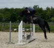 Caballo castrado Zangersheide En venta 2021 Negro por Hunter Scendro