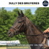 Yegua AQPS En venta 2019 Negro por BATHYRHON (GER)