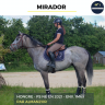 Caballo castrado Pura Sangre En venta 2021 Tordo por Almanzor