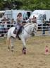 Yegua CDE Caballo Deporte Espanol En venta 2005 Tordo