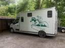 Furgoneta para caballos Renault Master 2011 De segunda mano