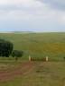 Pupilaje en libertad - Finca Dehesilla de los Cubones