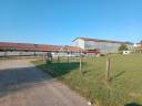 Explotación ovina En venta Jura
