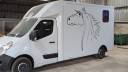 Furgoneta para caballos Cavalcar Opel Movano 2020 De segunda mano