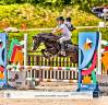 Yegua Welsh Poni (Sección A) En venta 2019 Negro por PERLHOF GABLE 