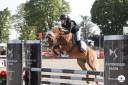 GOLBURY DES BERTAINES - Welsh Poni (Sección B) 2016 por VINCE DIWAN