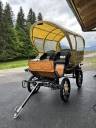 Coche enganches - Calesa - Otra marca -  